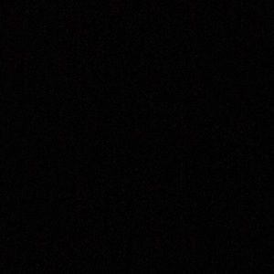 Meet your Posher, Harley